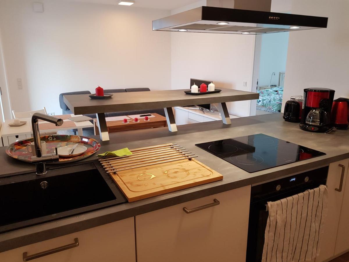 Wohnen Direkt Am Rhein, Zentrums- Und Domnah, 55Qm Apartment Speyer Ngoại thất bức ảnh