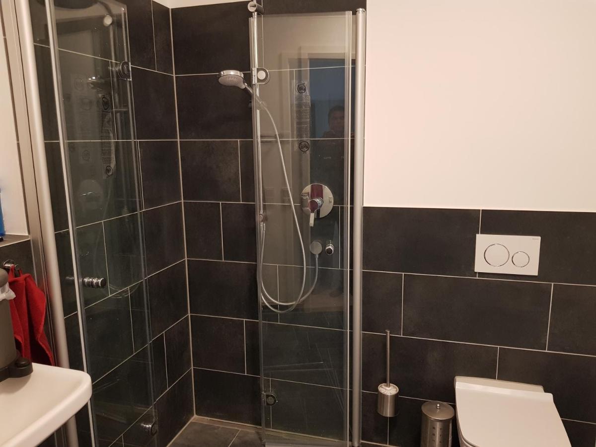 Wohnen Direkt Am Rhein, Zentrums- Und Domnah, 55Qm Apartment Speyer Ngoại thất bức ảnh
